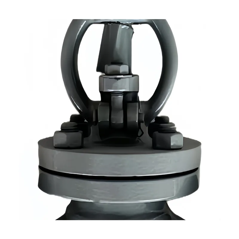 WCB Globe Valves